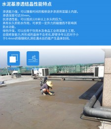 防水涂料和防水砂浆同时做	(防水砂浆和防水涂料在施工工艺上有什么区别)