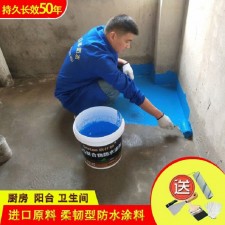 防水涂料能否用作油漆(防水涂料能否用作油漆施工)