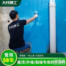 常德大禹防水涂料价格(大禹防水涂料多少钱一桶)