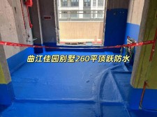 苏州版防水涂料隐蔽验收	(防水涂料隐蔽工程检查验收记录)