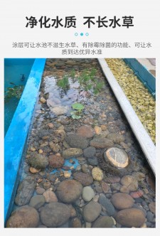 防水涂料没干就泡水了	(防水涂料没干透就放水会导致什么后果)