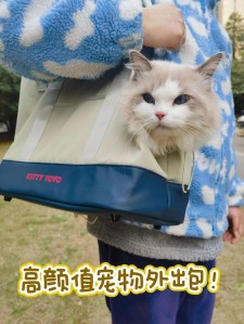 猫咪脚底粘了防水涂料	(给猫脚底粘东西为什么会反应那么大)