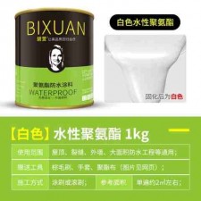 喷在表面透明的防水涂料	(喷在表面透明的防水涂料叫什么)