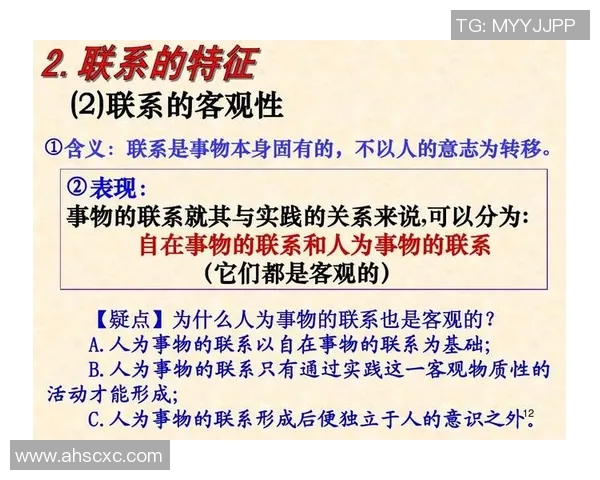 深圳乒乓球队意识对比分析揭示团队协作与个人技术的深层关系