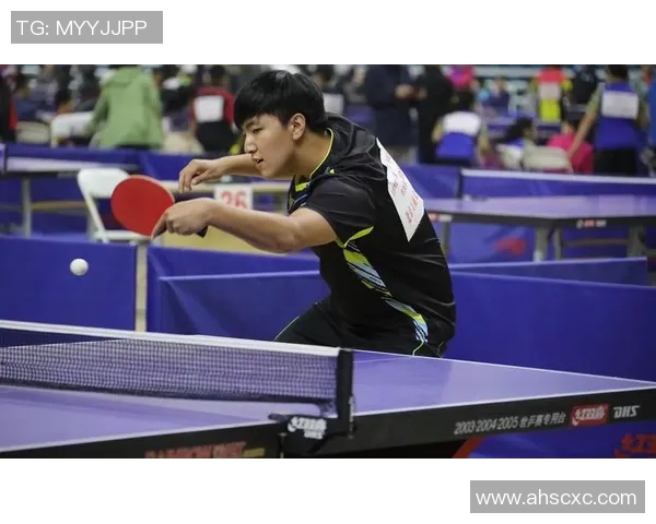 深圳乒乓球队总决赛技术分析与表现评析展现团队实力与竞技水平