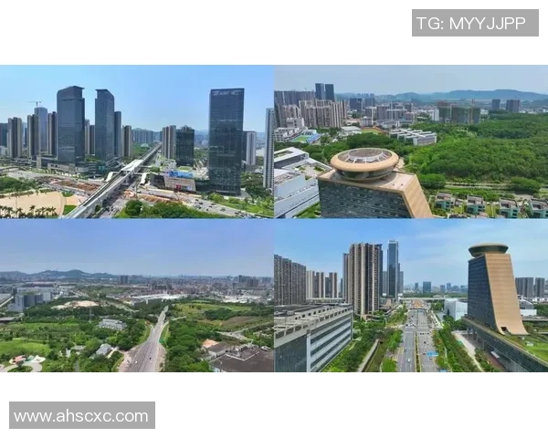 深圳乒乓球队的崛起之路与奋斗历程全景回顾